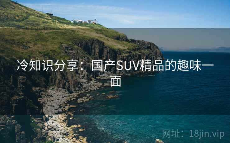 冷知识分享：国产SUV精品的趣味一面  第2张